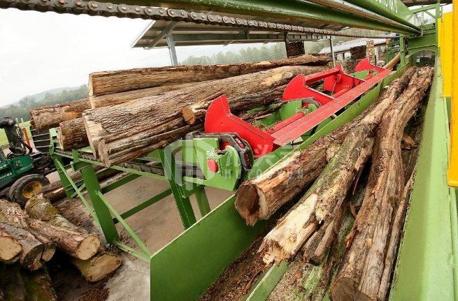 匈牙利：将放宽木材砍伐限制