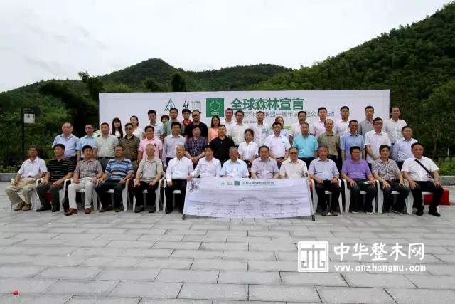 红利地板携手中国实木地板联盟发布“森林宣言” 